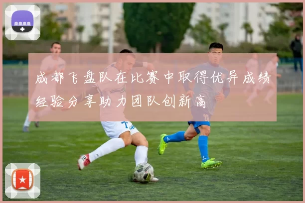 成都飞盘队在比赛中取得优异成绩经验分享助力团队创新高