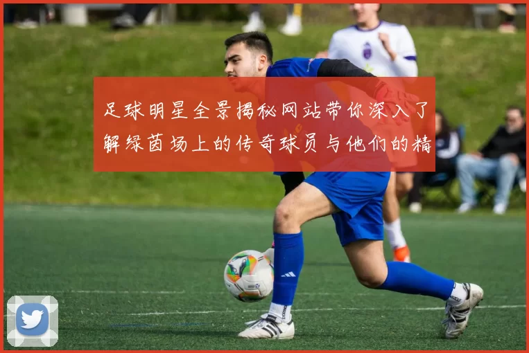 足球明星全景揭秘网站带你深入了解绿茵场上的传奇球员与他们的精彩故事