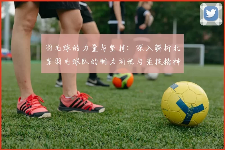 羽毛球的力量与坚持：深入解析北京羽毛球队的耐力训练与竞技精神
