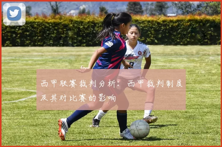 西甲联赛裁判分析：西甲裁判制度及其对比赛的影响