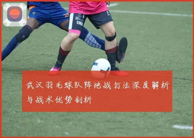 武汉羽毛球队阵地战打法深度解析与战术优势剖析