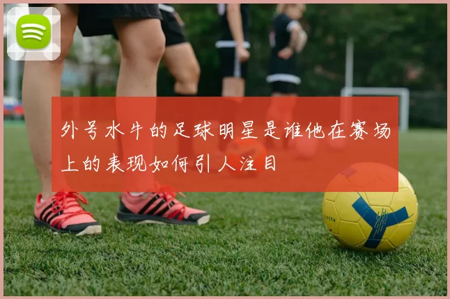 外号水牛的足球明星是谁他在赛场上的表现如何引人注目