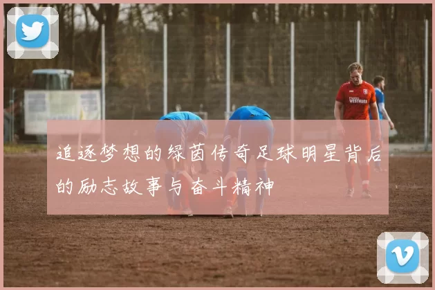 追逐梦想的绿茵传奇足球明星背后的励志故事与奋斗精神
