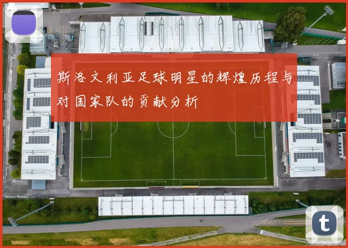 斯洛文利亚足球明星的辉煌历程与对国家队的贡献分析