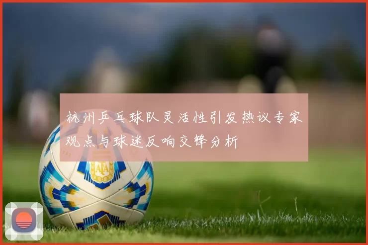 杭州乒乓球队灵活性引发热议专家观点与球迷反响交锋分析