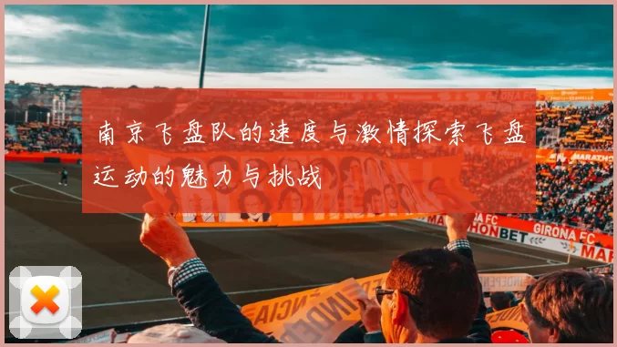 南京飞盘队的速度与激情探索飞盘运动的魅力与挑战