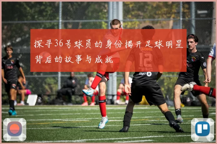 探寻36号球员的身份揭开足球明星背后的故事与成就