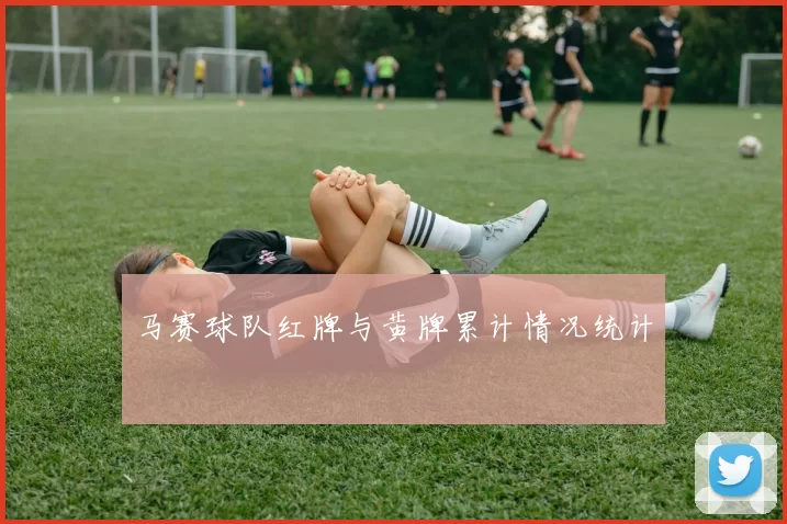 马赛球队红牌与黄牌累计情况统计
