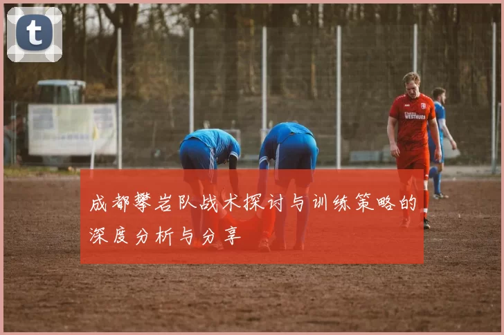 成都攀岩队战术探讨与训练策略的深度分析与分享