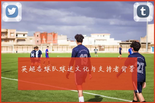英超各球队球迷文化与支持者背景