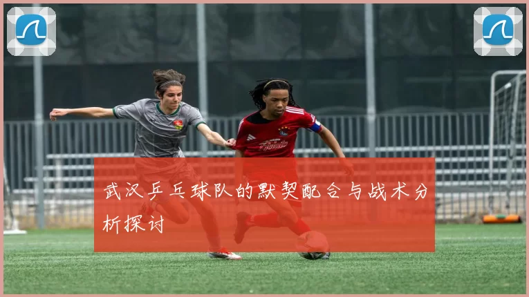 武汉乒乓球队的默契配合与战术分析探讨