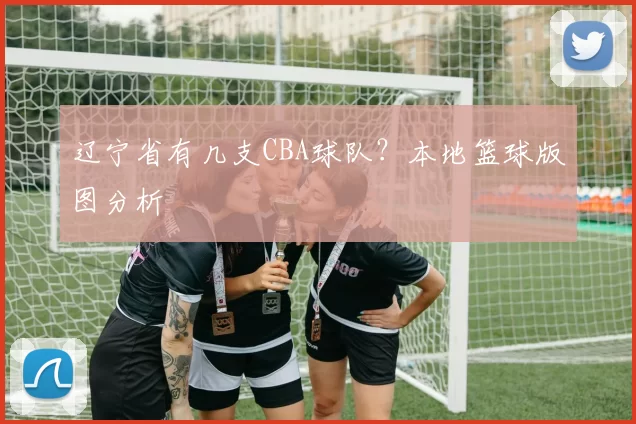 辽宁省有几支CBA球队？本地篮球版图分析