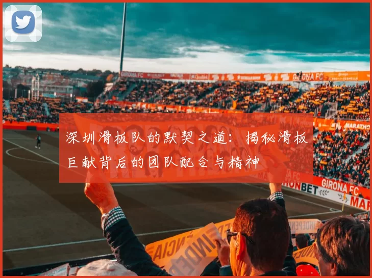 深圳滑板队的默契之道：揭秘滑板巨献背后的团队配合与精神
