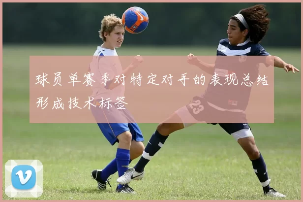 球员单赛季对特定对手的表现总结形成技术标签