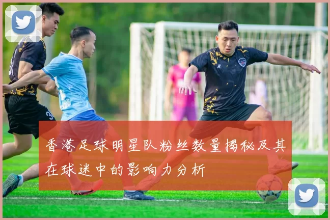 香港足球明星队粉丝数量揭秘及其在球迷中的影响力分析