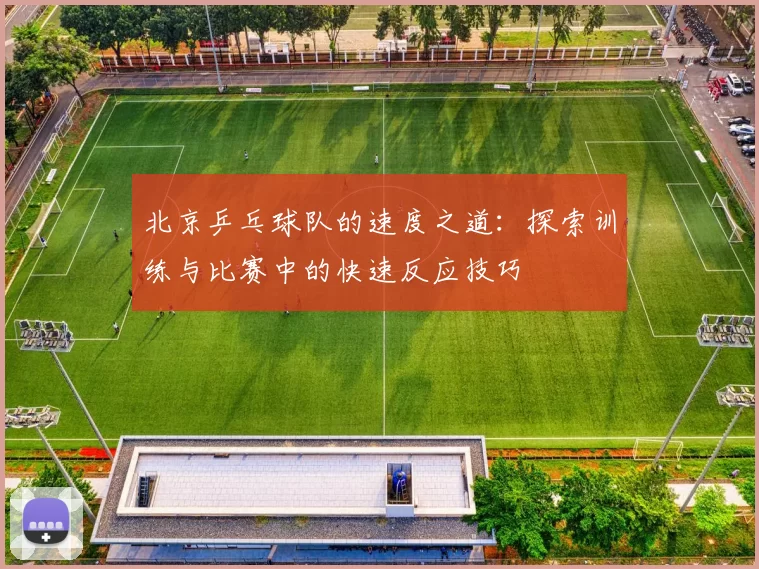 北京乒乓球队的速度之道：探索训练与比赛中的快速反应技巧