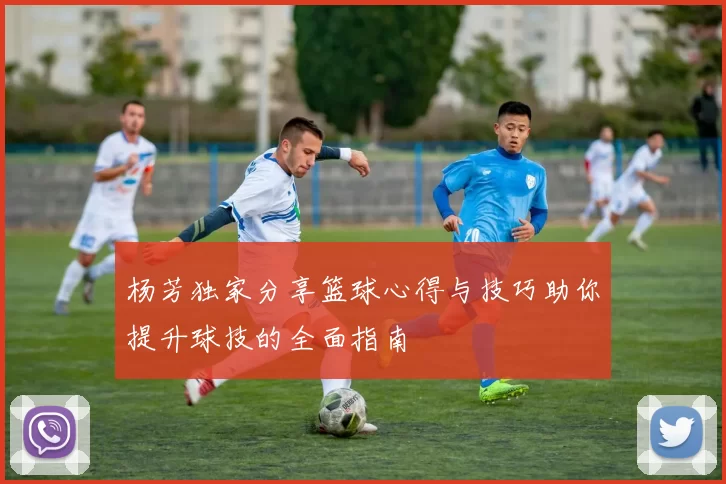 杨芳独家分享篮球心得与技巧助你提升球技的全面指南