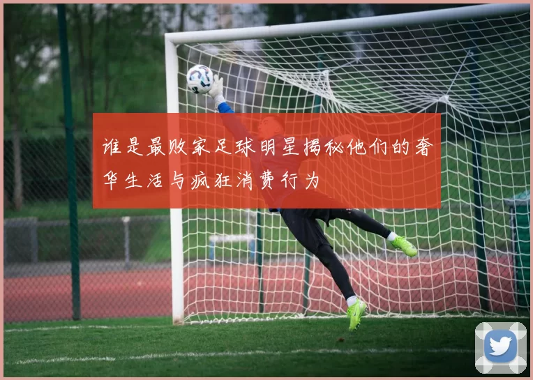 谁是最败家足球明星揭秘他们的奢华生活与疯狂消费行为