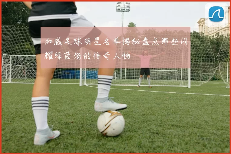 加威足球明星名单揭秘盘点那些闪耀绿茵场的传奇人物