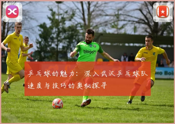 乒乓球的魅力：深入武汉乒乓球队速度与技巧的奥秘探寻